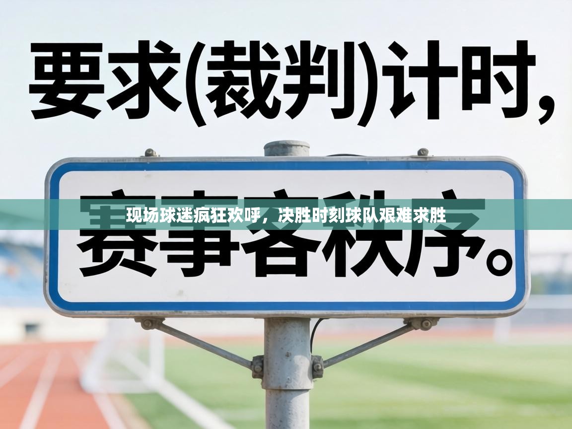 现场球迷疯狂欢呼，决胜时刻球队艰难求胜  第2张
