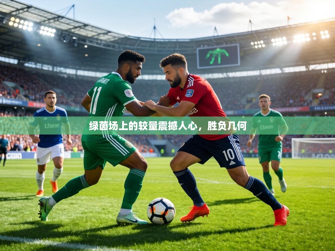 绿茵场上的较量震撼人心，胜负几何  第1张